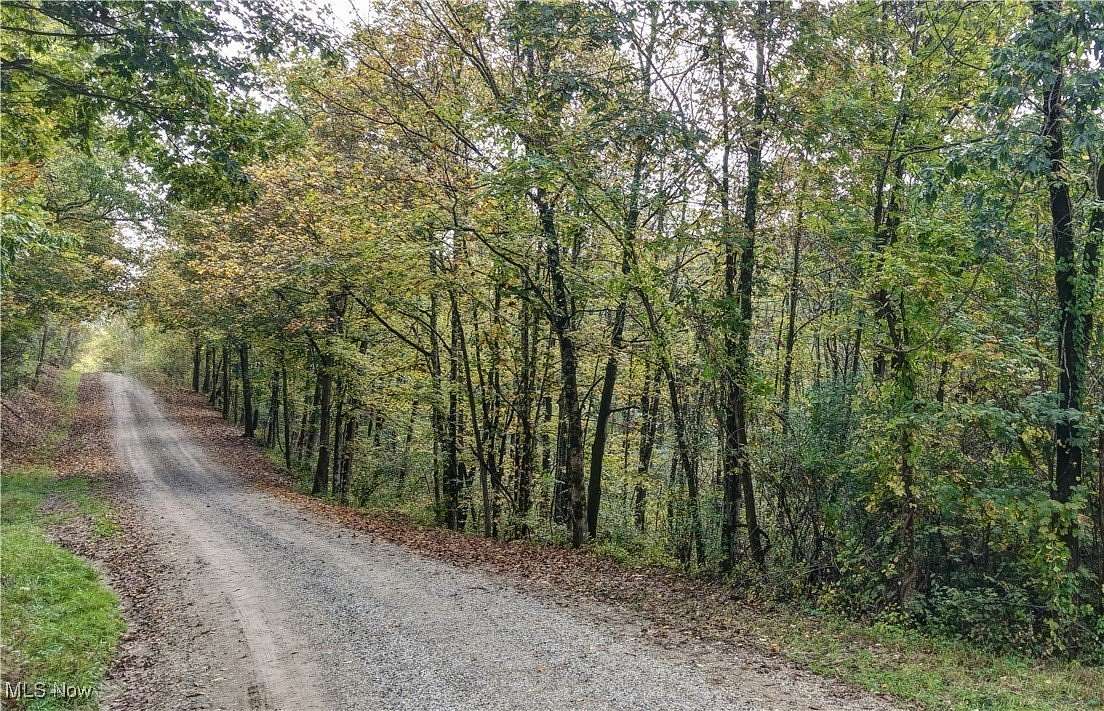 18 Acres of Recreational Land for Sale in Caldwell, Ohio