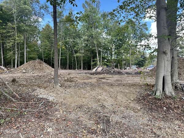 1 Acre of Residential Land for Sale in Rogersville, Tennessee