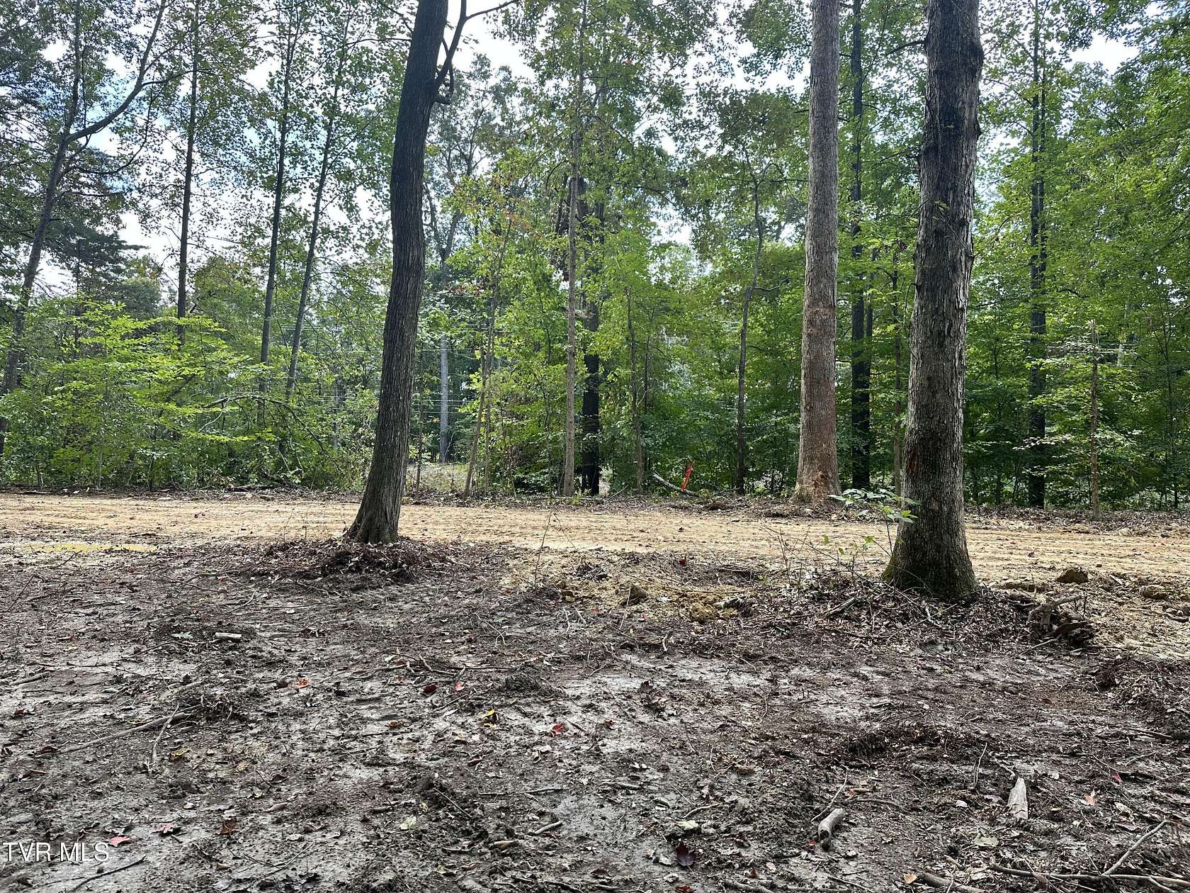 1 Acre of Residential Land for Sale in Rogersville, Tennessee