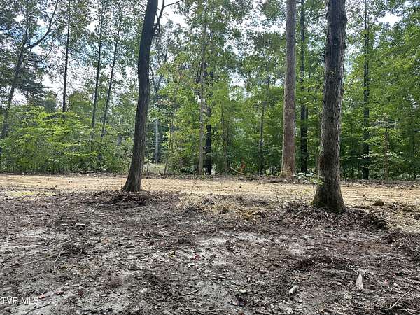 1 Acre of Residential Land for Sale in Rogersville, Tennessee