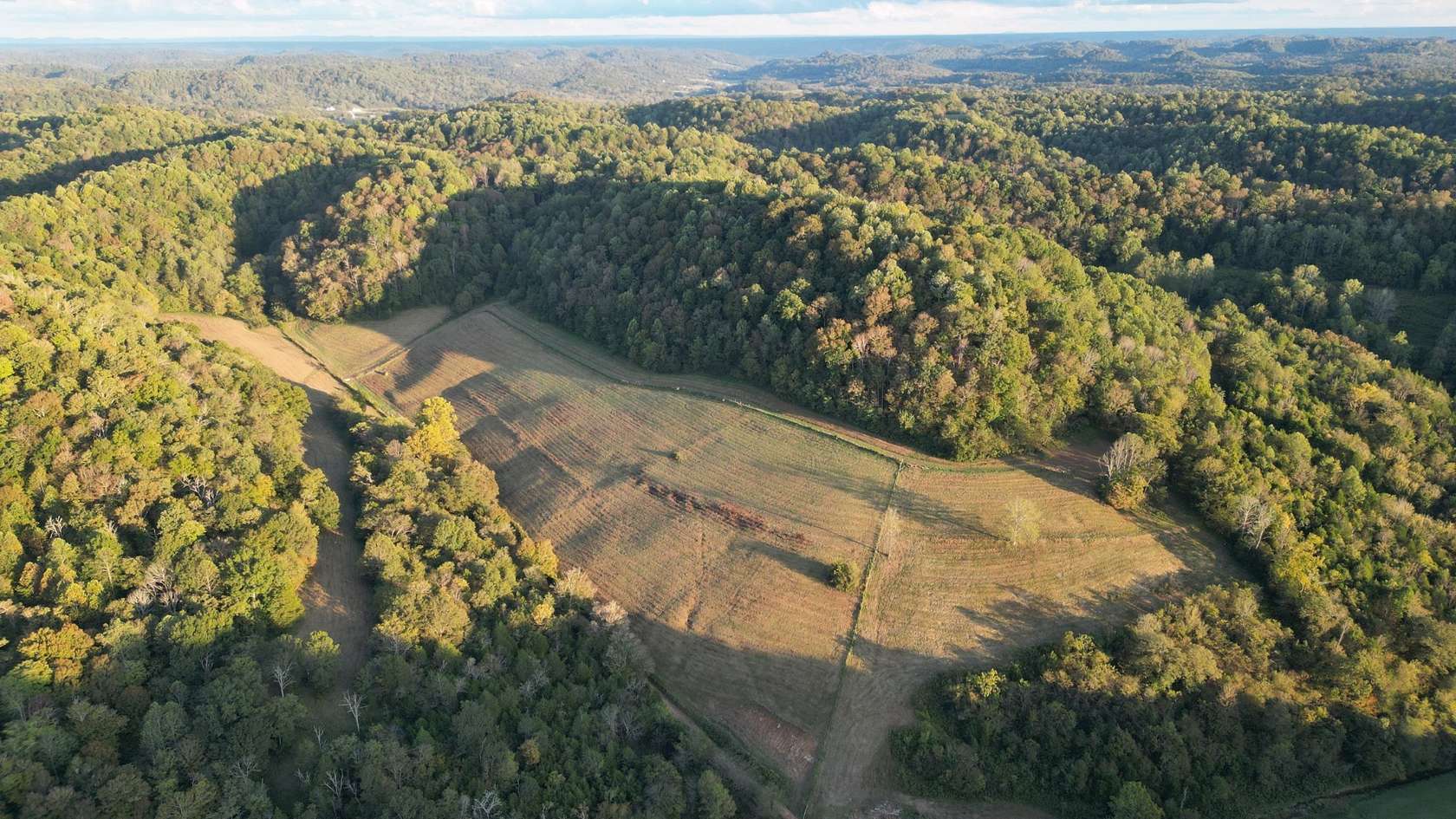 45.4 Acres of Land for Sale in Pleasant Shade, Tennessee