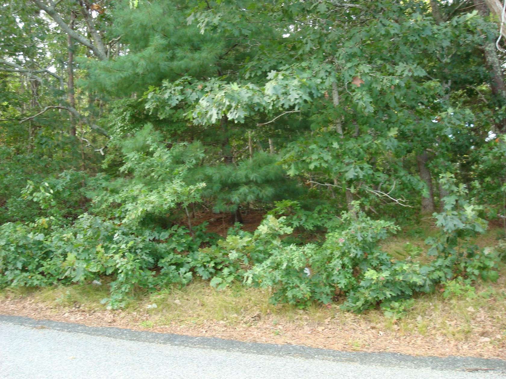 0.36 Acres of Residential Land for Sale in Dennis, Massachusetts