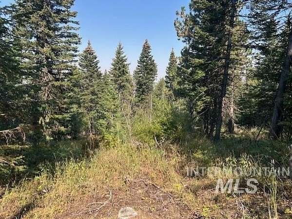 3.3 Acres of Land for Sale in Cottonwood, Idaho