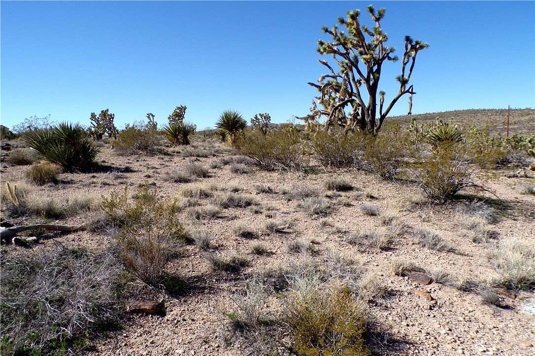 1 Acre of Residential Land for Sale in Dolan Springs, Arizona
