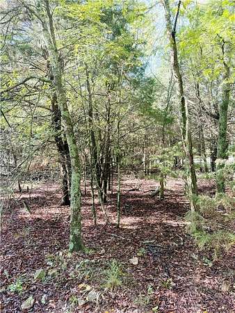 0.33 Acres of Residential Land for Sale in Garfield, Arkansas