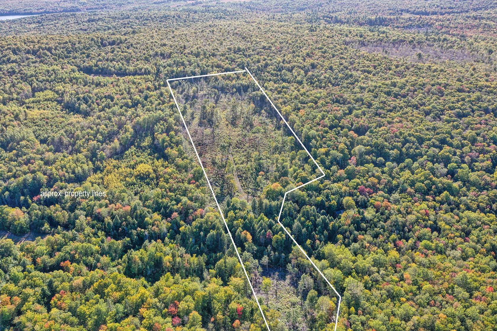15 Acres of Land for Sale in Orland, Maine