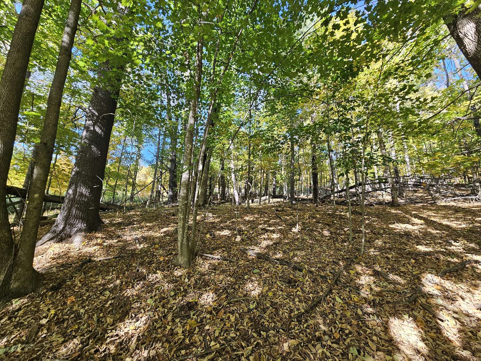 0.9 Acres of Residential Land for Sale in Strong, Maine