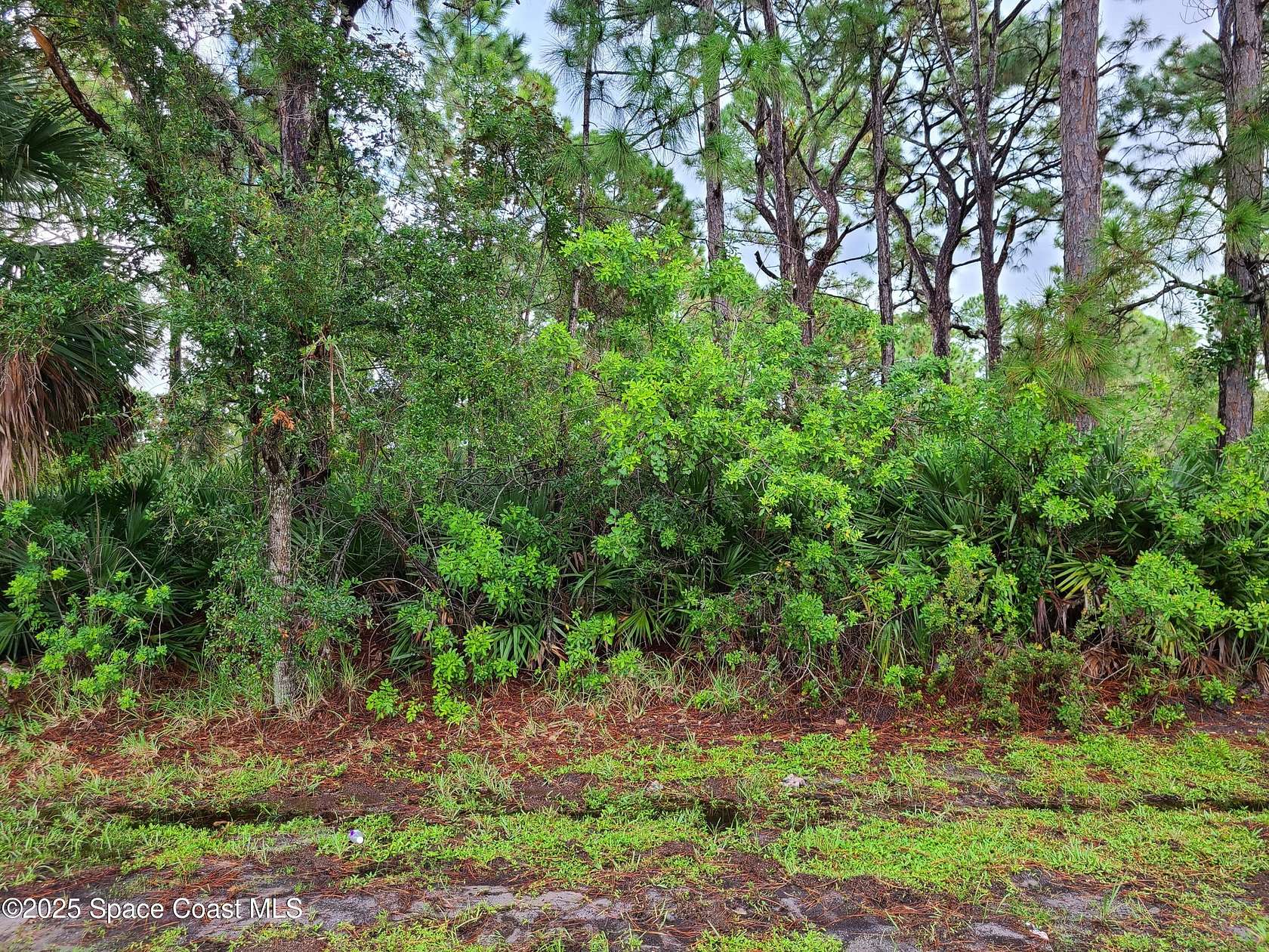 0.23 Acres of Land for Sale in Palm Bay, Florida