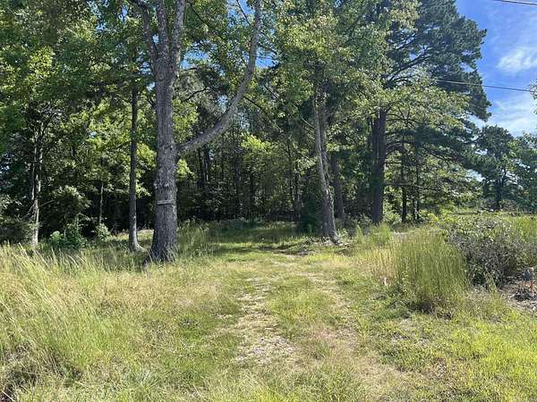 0.46 Acres of Residential Land for Sale in Mena, Arkansas
