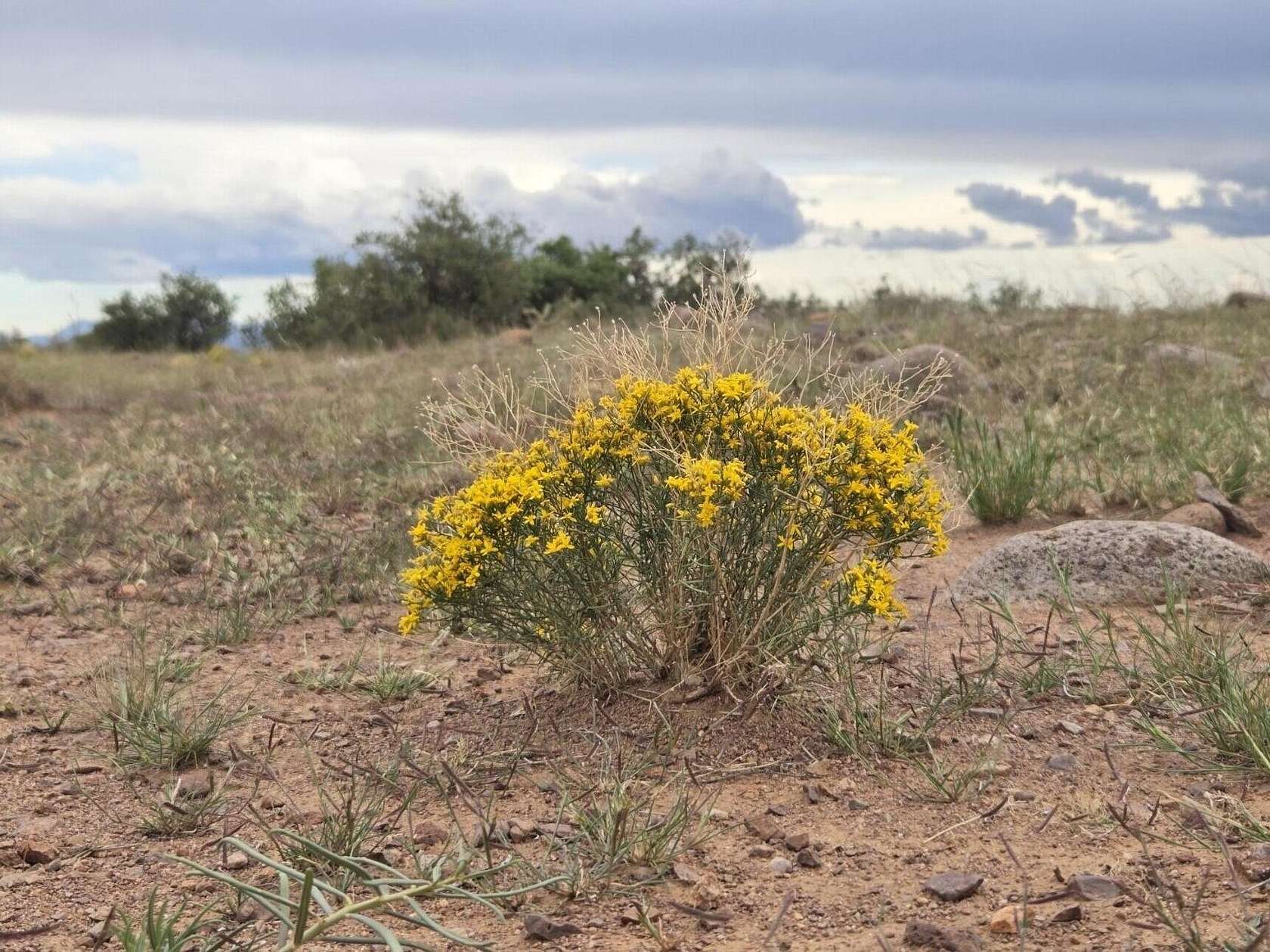 160 Acres of Land for Sale in San Antonio, New Mexico