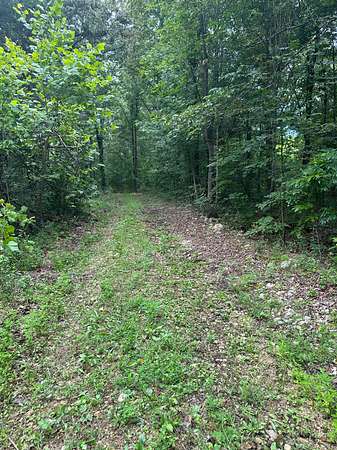 121 Acres of Land for Sale in Only, Tennessee