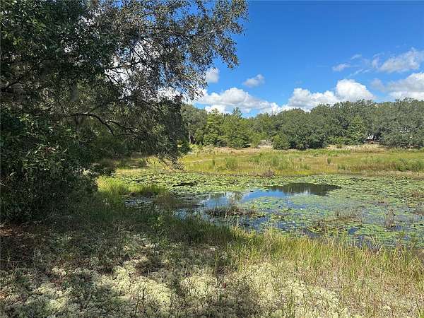 0.36 Acres of Residential Land for Sale in Interlachen, Florida