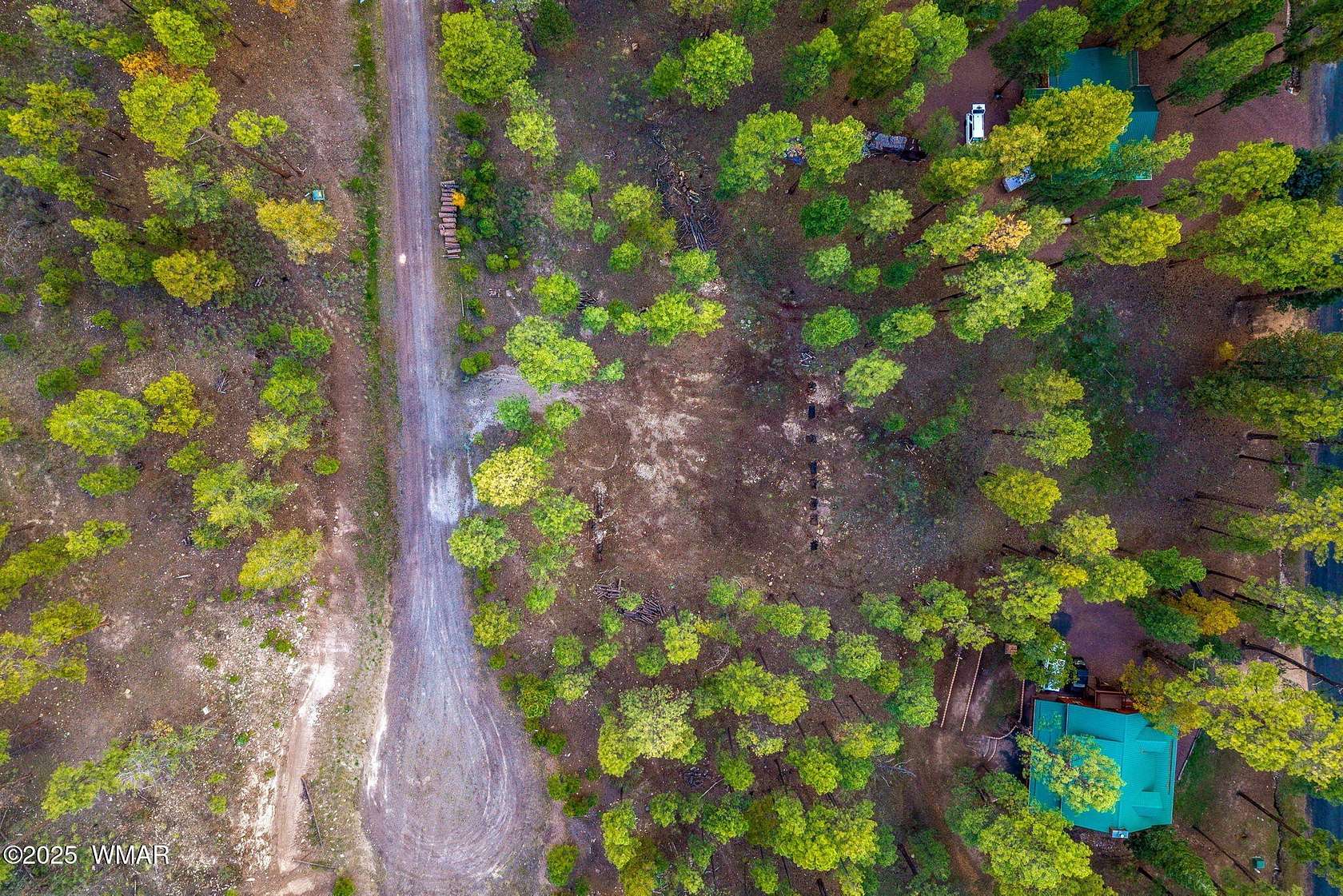 0.41 Acres of Residential Land for Sale in Alpine, Arizona