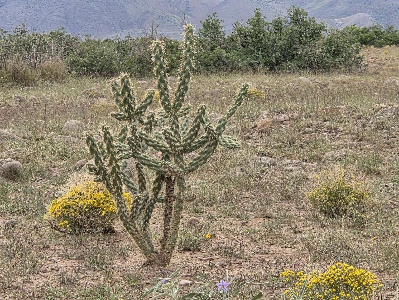 160 Acres of Land for Sale in San Antonio, New Mexico