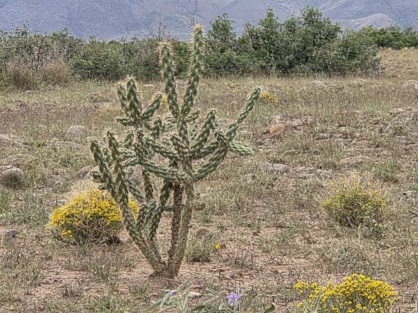 160 Acres of Land for Sale in San Antonio, New Mexico