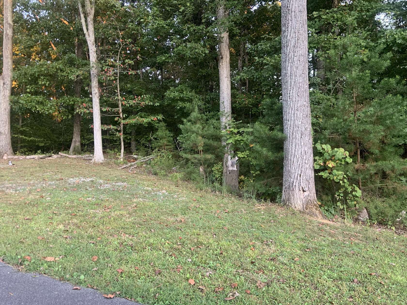 0.4 Acres of Residential Land for Sale in White Pine, Tennessee