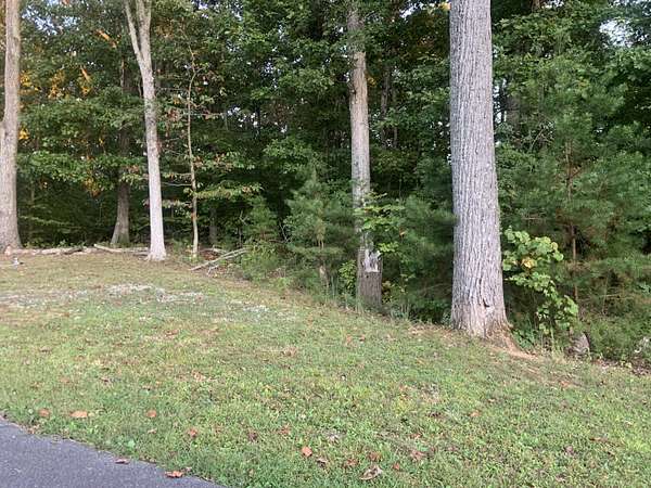 0.4 Acres of Residential Land for Sale in White Pine, Tennessee