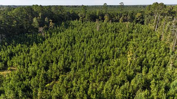 14.4 Acres of Recreational Land & Farm for Sale in Marion, Louisiana