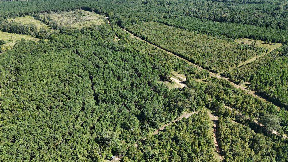 73 Acres of Land for Sale in Marion, Louisiana