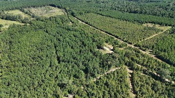 73 Acres of Land for Sale in Marion, Louisiana