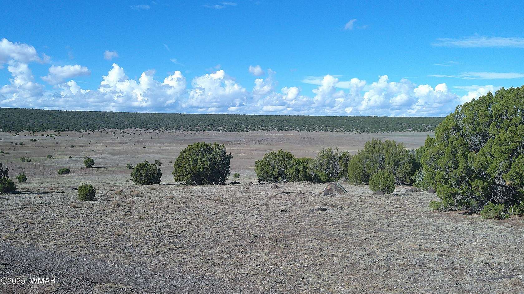 20 Acres of Recreational Land for Sale in Concho, Arizona