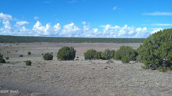 20 Acres of Recreational Land for Sale in Concho, Arizona