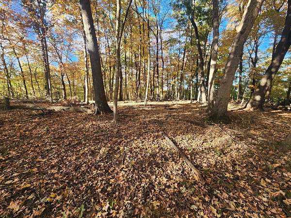 Residential Land for Sale in Varna, Illinois