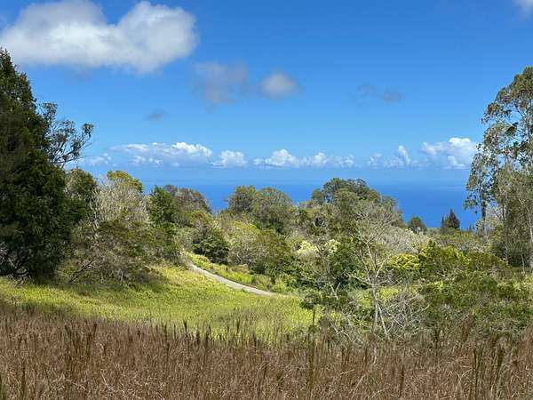 3.75 Acres of Land for Sale in Paauilo, Hawaii