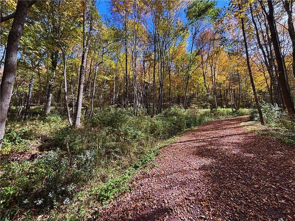 5.25 Acres of Residential Land with Home for Sale in South Kortright, New York