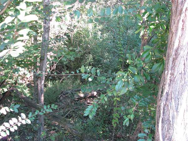 0.49 Acres of Land for Sale in McEwen, Tennessee