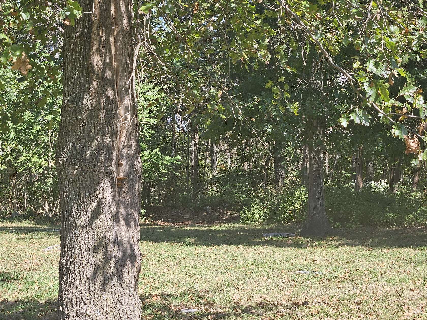 4.9 Acres of Residential Land for Sale in Mount Juliet, Tennessee