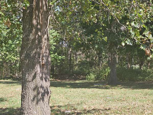 4.9 Acres of Residential Land for Sale in Mount Juliet, Tennessee