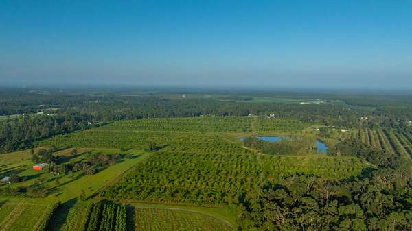 143 Acres of Land for Auction in Lakeland, Georgia