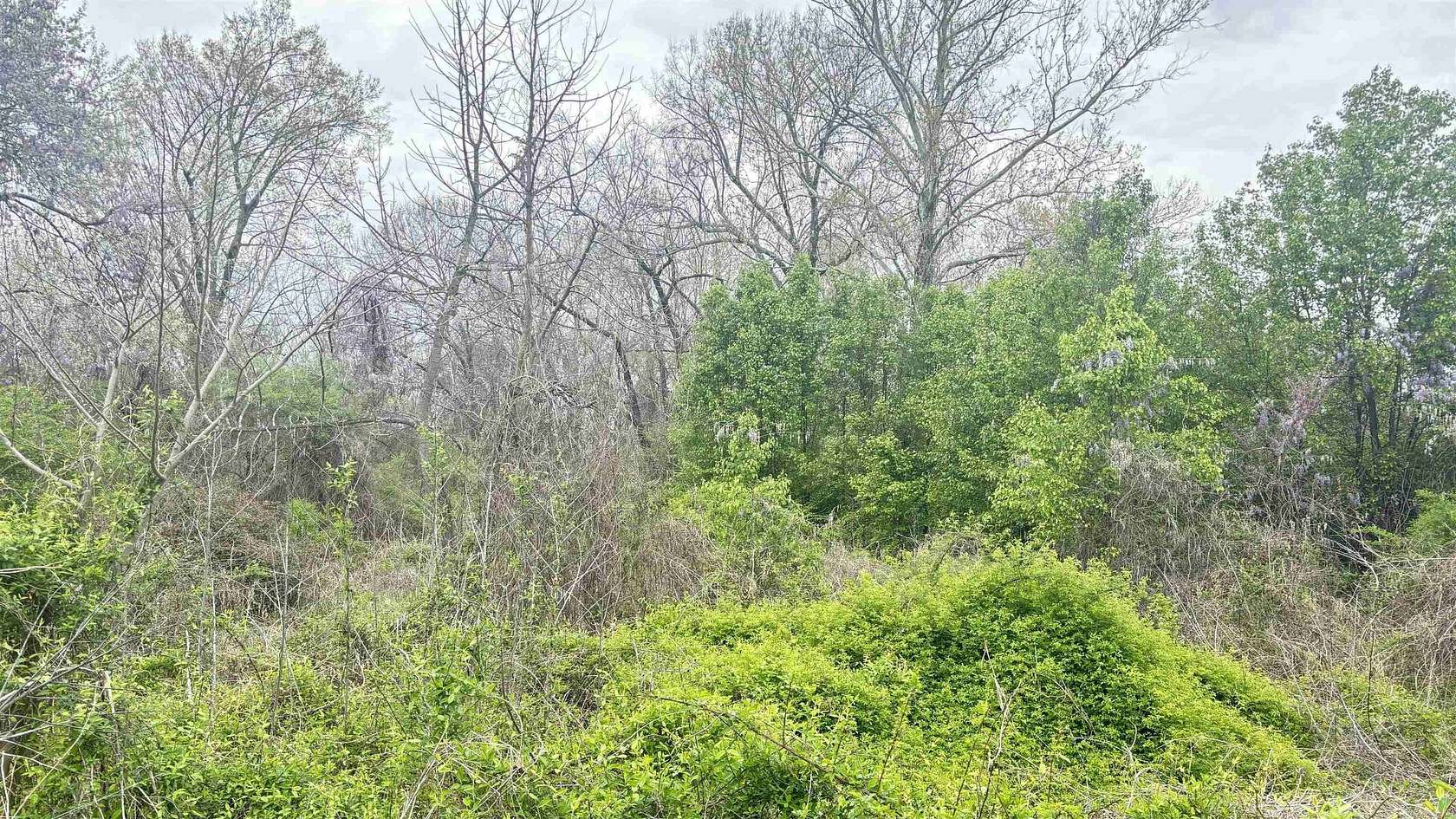 0.51 Acres of Residential Land for Sale in Little Rock, Arkansas