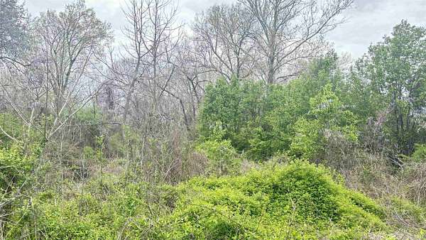 0.51 Acres of Residential Land for Sale in Little Rock, Arkansas