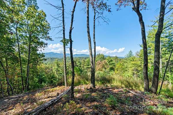 11.5 Acres of Land for Sale in Marshall, North Carolina