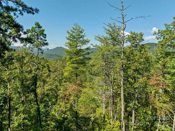25 Acres of Recreational Land for Sale in Marshall, North Carolina