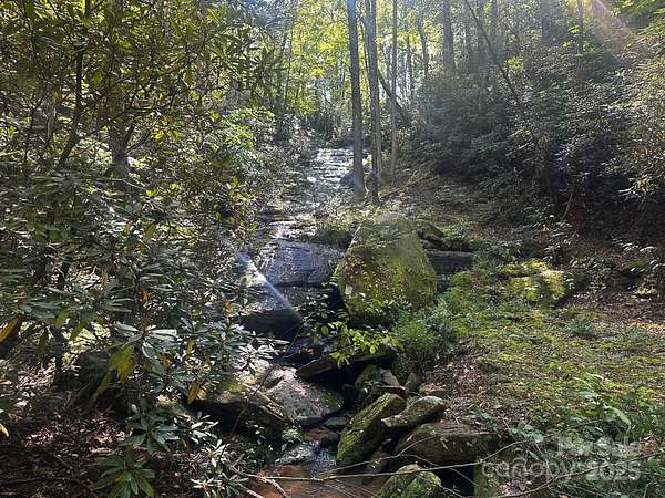 29.9 Acres of Land for Sale in Lake Lure, North Carolina