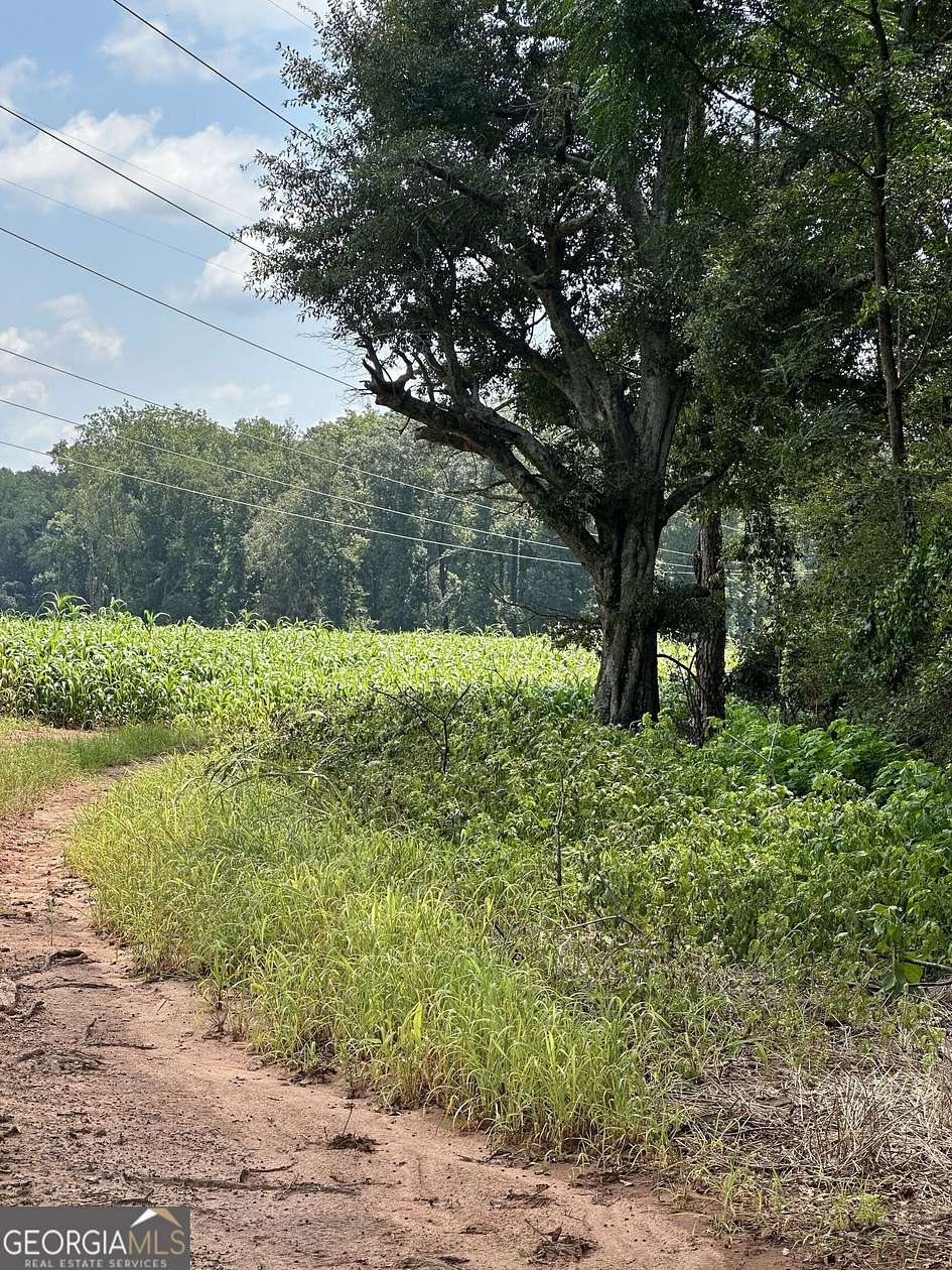 118 Acres of Recreational Land for Sale in Newborn, Georgia