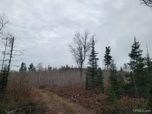 40 Acres of Recreational Land for Sale in Crystal Falls, Michigan