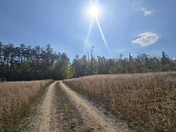 21.6 Acres of Recreational Land for Sale in Johannesburg, Michigan