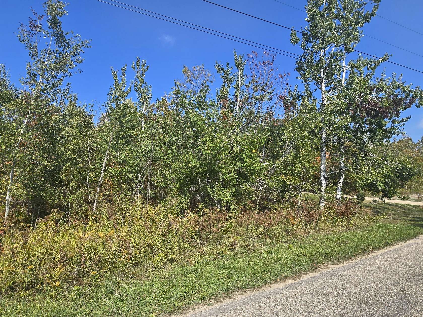 0.25 Acres of Land for Sale in Johannesburg, Michigan