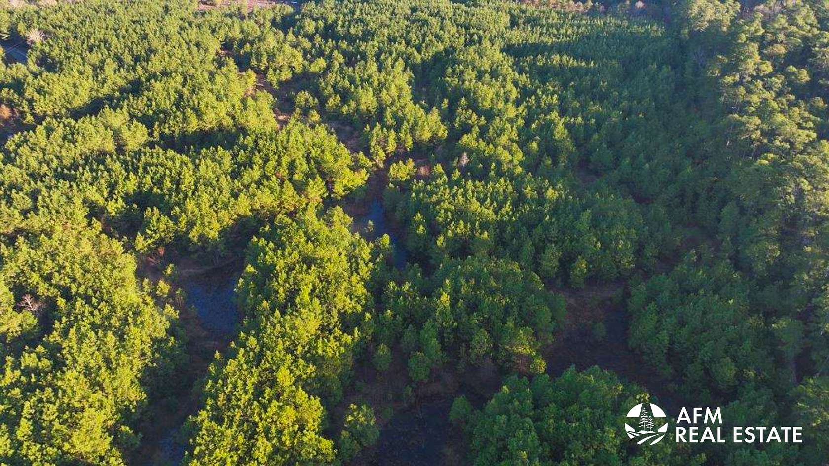 25 Acres of Recreational Land for Sale in Milam, Texas