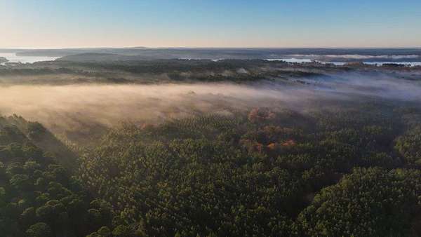 61 Acres of Recreational Land for Sale in Milam, Texas