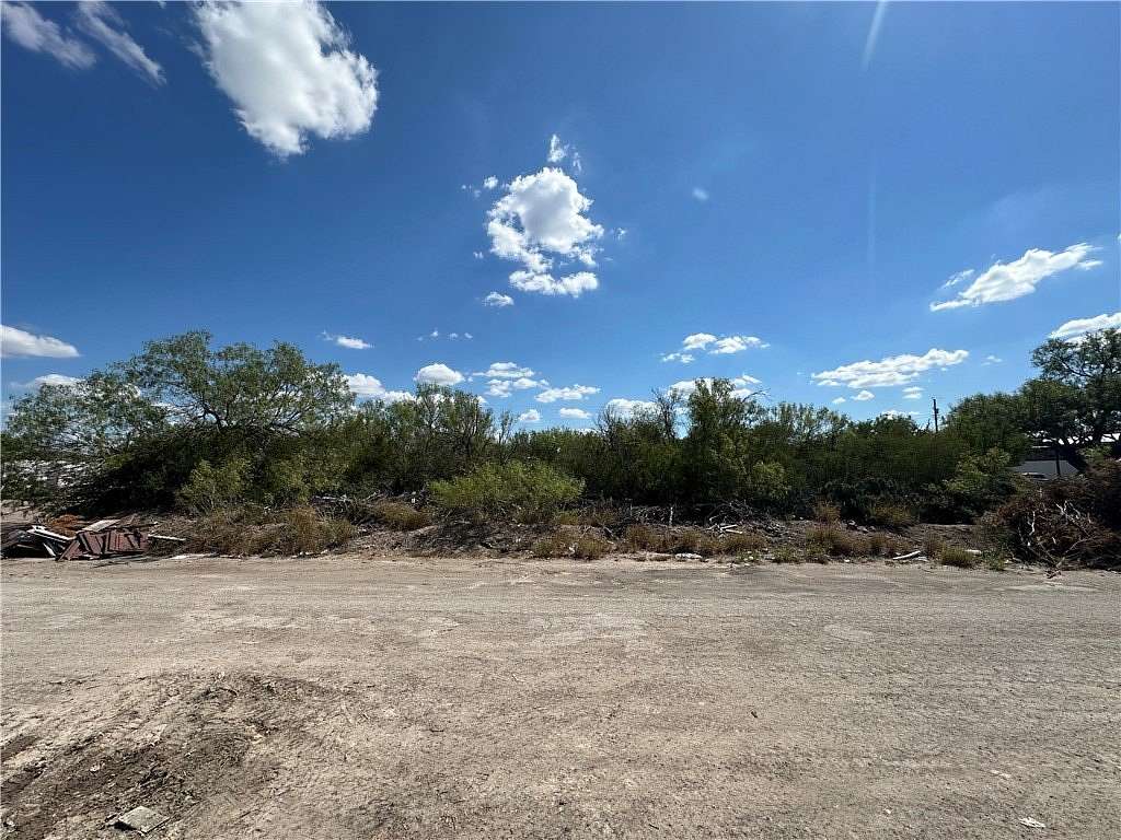 0.51 Acres of Residential Land for Sale in Freer, Texas