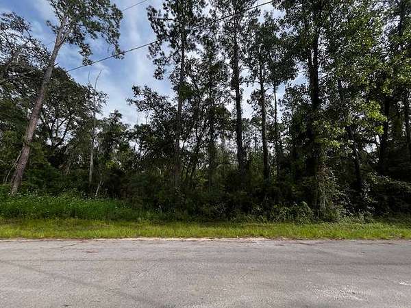 0.25 Acres of Residential Land for Sale in Dunnellon, Florida