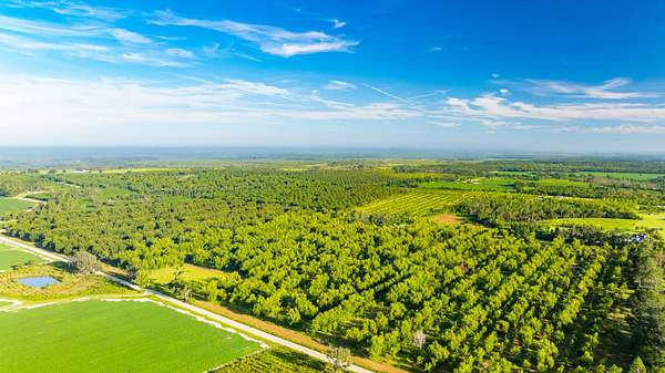 440 Acres of Land for Auction in Naylor, Georgia