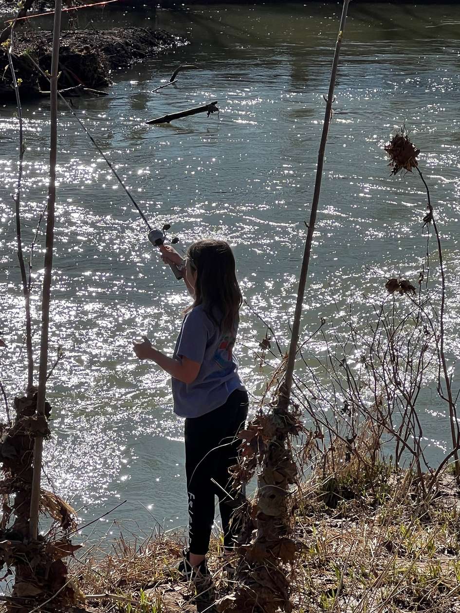 6 Acres of Residential Land for Sale in Portland, Tennessee