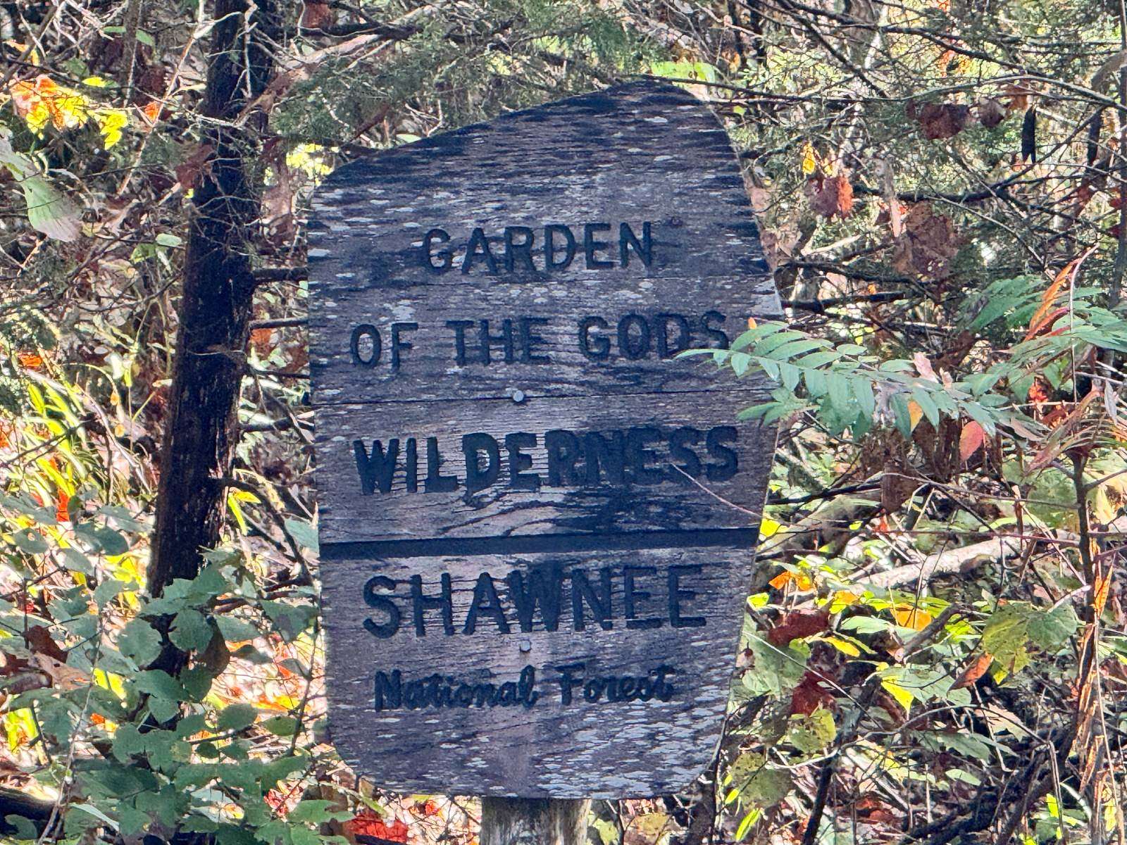 Land for Sale in Herod, Illinois