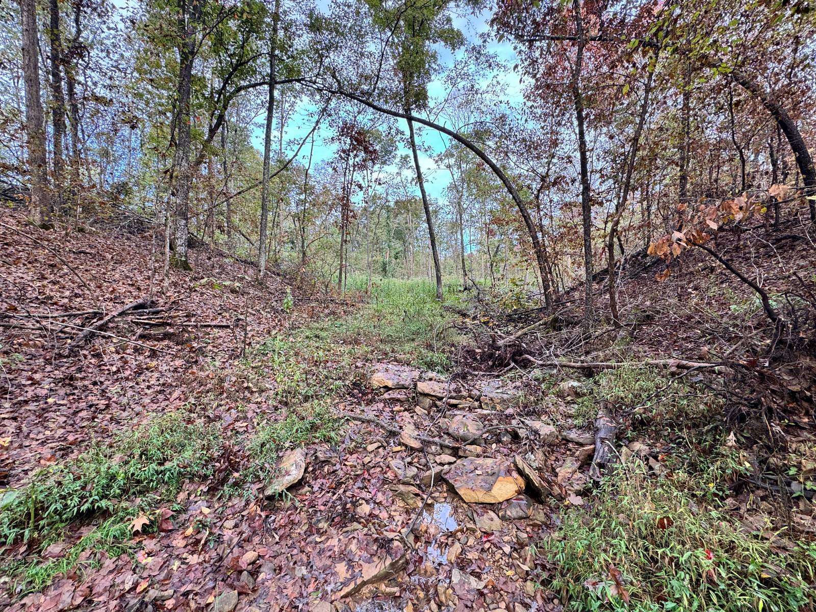 Land for Sale in Herod, Illinois